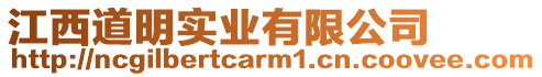 江西道明實業有限公司
