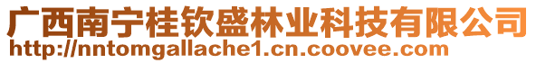 廣西南寧桂欽盛林業科技有限公司