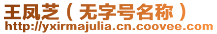 王鳳芝（無(wú)字號(hào)名稱）