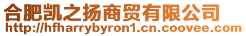 合肥凱之揚商貿(mào)有限公司