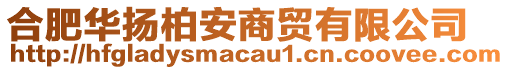 合肥華揚(yáng)柏安商貿(mào)有限公司