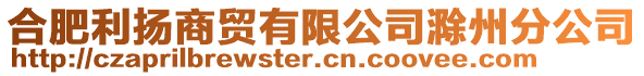 合肥利揚(yáng)商貿(mào)有限公司滁州分公司