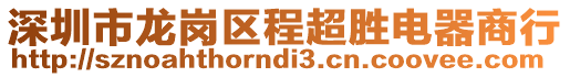 深圳市龍崗區(qū)程超勝電器商行