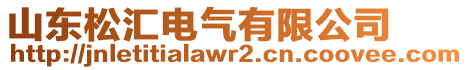 山東松匯電氣有限公司