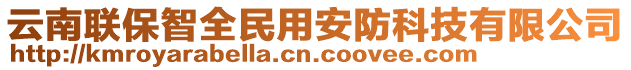 云南聯(lián)保智全民用安防科技有限公司