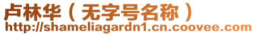盧林華（無字號名稱）