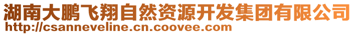 湖南大鵬飛翔自然資源開發(fā)集團(tuán)有限公司