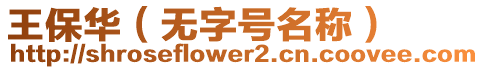 王保華（無字號(hào)名稱）