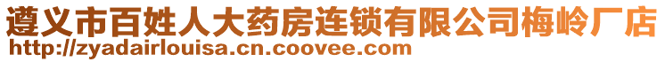 遵義市百姓人大藥房連鎖有限公司梅嶺廠店