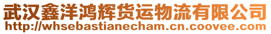 武漢鑫洋鴻輝貨運物流有限公司