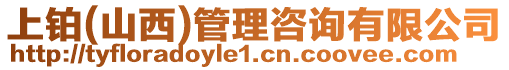上鉑(山西)管理咨詢有限公司