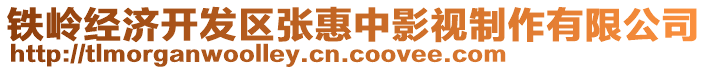 鐵嶺經(jīng)濟開發(fā)區(qū)張惠中影視制作有限公司
