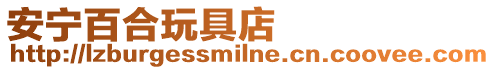 安寧百合玩具店