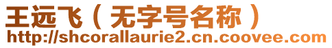 王遠(yuǎn)飛（無字號名稱）