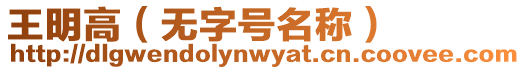王明高（無字號(hào)名稱）
