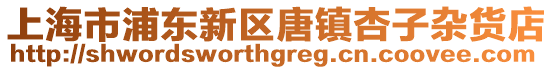 上海市浦東新區唐鎮杏子雜貨店