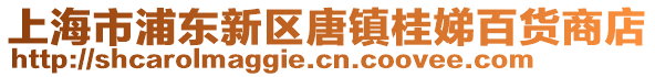 上海市浦東新區唐鎮桂娣百貨商店