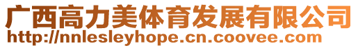 廣西高力美體育發(fā)展有限公司