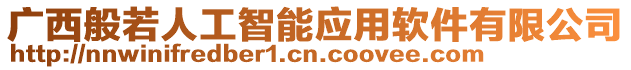 廣西般若人工智能應(yīng)用軟件有限公司