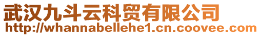 武漢九斗云科貿有限公司