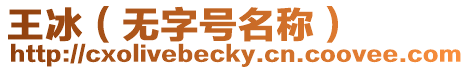 王冰（無字號名稱）