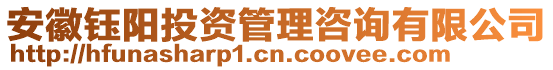 安徽鈺陽投資管理咨詢有限公司