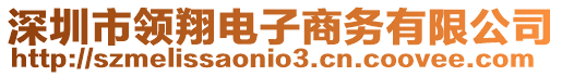 深圳市領翔電子商務有限公司