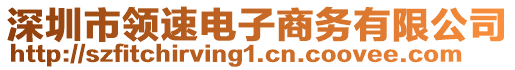 深圳市領(lǐng)速電子商務(wù)有限公司