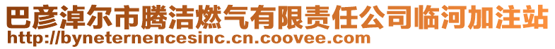 巴彥淖爾市騰潔燃氣有限責任公司臨河加注站
