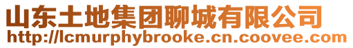 山東土地集團聊城有限公司