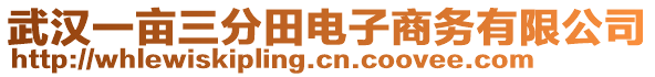 武漢一畝三分田電子商務有限公司