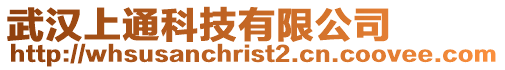 武漢上通科技有限公司