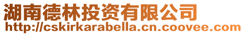 湖南德林投資有限公司