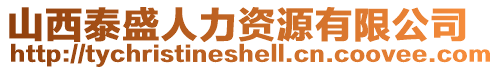 山西泰盛人力資源有限公司