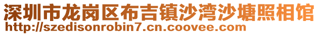 深圳市龍崗區布吉鎮沙灣沙塘照相館