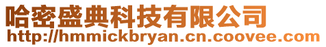 哈密盛典科技有限公司