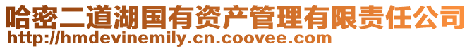 哈密二道湖國有資產管理有限責任公司