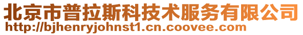 北京市普拉斯科技術(shù)服務(wù)有限公司