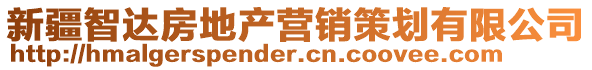 新疆智達房地產(chǎn)營銷策劃有限公司
