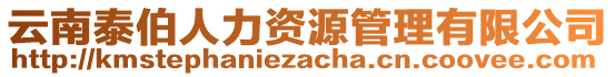 云南泰伯人力資源管理有限公司