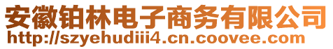 安徽鉑林電子商務(wù)有限公司