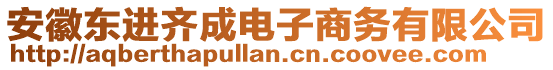 安徽東進齊成電子商務有限公司