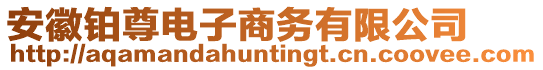 安徽鉑尊電子商務(wù)有限公司