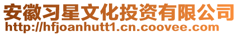 安徽習星文化投資有限公司