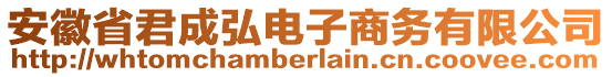 安徽省君成弘電子商務有限公司