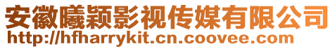 安徽曦穎影視傳媒有限公司