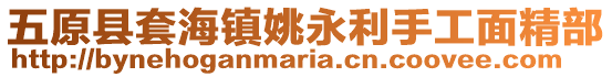 五原縣套海鎮(zhèn)姚永利手工面精部