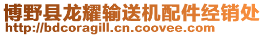 博野縣龍耀輸送機(jī)配件經(jīng)銷處