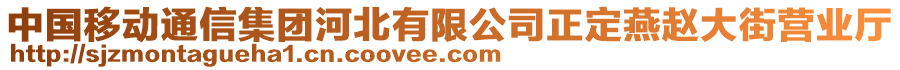 中國移動通信集團(tuán)河北有限公司正定燕趙大街營業(yè)廳