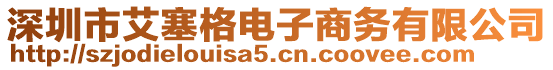 深圳市艾塞格電子商務(wù)有限公司